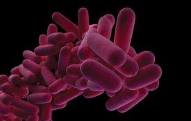 Legionella: novo surto desmascara desinvestimento