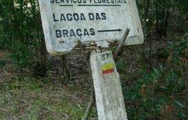 Guardas florestais partem para greve contra a extinção da carreira