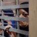 Palestina presos mulheres gravidez ocupação