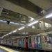 PEV apela à criação de soluções com população enquanto faltar Metro em Santa Apolónia