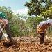 MST quer reflorestar 5000 hectares de áreas atingidas pelo «crime» da Vale