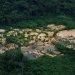 Mineração ilegal aumenta devastação na Terra Indígena Yanomami