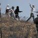 Activistas denunciam em Israel campanha de terror dos colonos contra palestinianos
