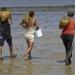 PEV: captura de bivalves no Tejo à conta de exploração sem limites