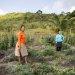 É preciso reconhecer a «importância da mulher rural e agricultora»