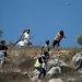 Telavive promove a escalada de violência, denuncia o governo palestiniano