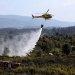 Vítimas dos incêndios no Algarve continuam a aguardar apoios