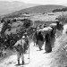 Declaração Balfour «está na origem» do que se passa na Palestina