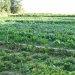 Promover produtos agrícolas sem investir na agricultura