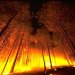 Incêndios de verão: as aparências iludem!