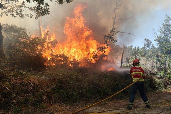 <p>Um incêndio que deflagrou em Vouzela, no distrito de Viseu, estava hoje a ser combatido às 10h20 por mais de 200 bombeiros, apoiados por 45 veículos e oito aeronaves. Num dia em que estes homens e mulheres são chamados a dar a vida em nome do combate às chamas, importa lembrar que, na passada quinta-feira, os partidos do Governo, PSD e CDS-PP, votaram contra a valorização dos bombeiros. 2 de Julho de 2026</p><p><br>&nbsp;</p>