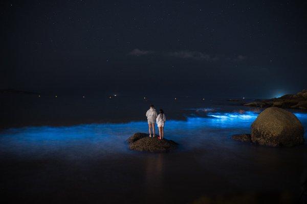 <p>Um fenómeno de bioluminescência, conhecido na Galiza como «Mar de Ardora», a iluminar a praia de A Lanzada, foi observado na madrugada desta quinta-feira. O fenómeno é causado por micro-organismos marinhos que emitem luz quando a água está agitada, devido à acumulação de microalgas e ao aumento da temperatura do mar. Pontevedra, 16 de Julho de 2026&nbsp;</p>