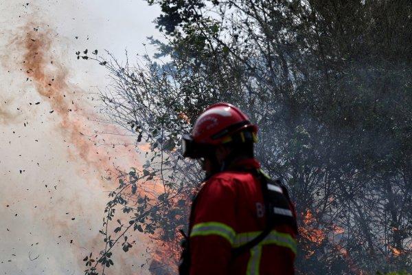 <p>Bombeiros combatem o incêndio florestal na localidade de Burgães, no concelho de Santo Tirso. O aumento das temperaturas dos últimos dias resultou numa profusão de acendimentos no norte do país. 18 de Agosto de 2026&nbsp;</p>