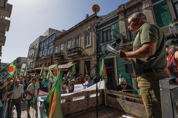 <p>«A actual situação é insustentável e insuportável». Em Peso da Régua, mais de uma centena de produtores vinícolas da CNA e da AVADOURIENSE denunciaram esta sexta-feira os «preços de miséria» e os «brutais custos de produção». Com a vindima à porta, os pequenos produtores receiam não ter a «quem vender as uvas». 7 de Agosto de 2026&nbsp;</p>