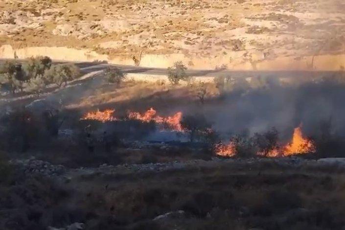 Cisjordânia incêndios colonos Israel