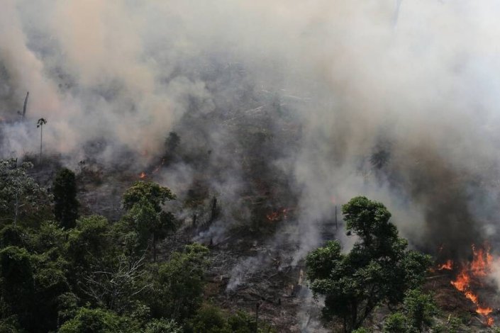 Investigadores afirmam que MP 910 potencia a devastação da Amazónia