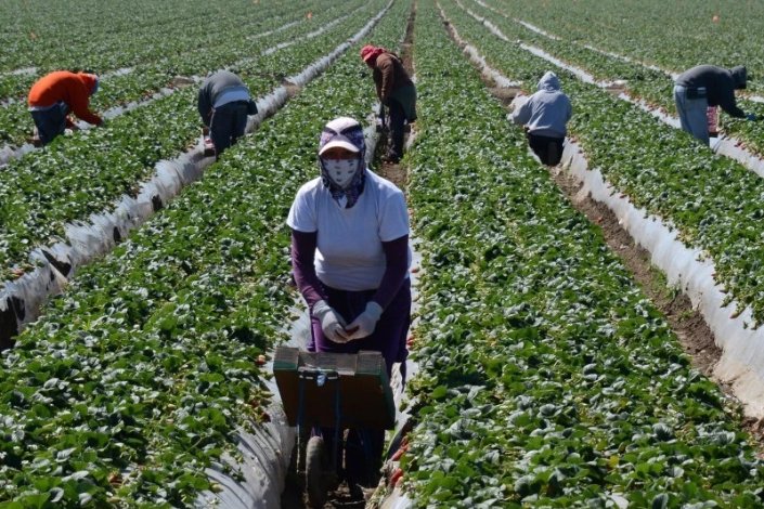 «A evolução da situação demonstra como o combate ao vírus é indissociável da luta dos trabalhadores e dos povos em defesa dos seus direitos», defende a Inter 