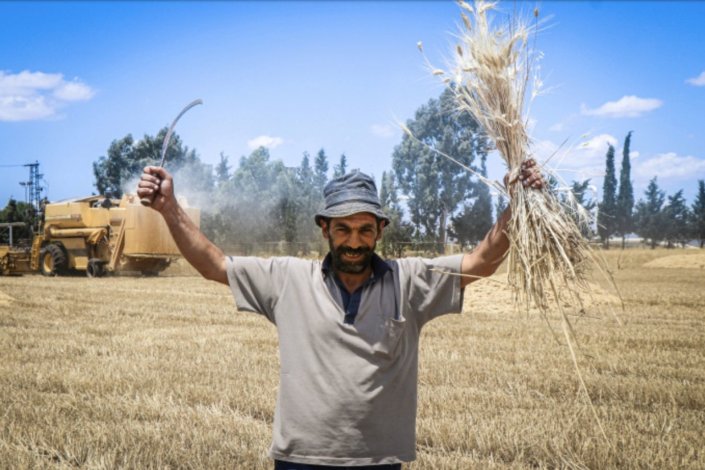 Abu Mohammad celebra a sua colheita de trigo, num distrito rural de Hama, Síria, em 19 de Junho de 2020. Há um ano tinha sido um dos 1500 agricultores do seu distrito apoiados pelo Crescente Vermelho Sírio e pela Cruz Vermelha Internacional com sementes de trigo e fertilizantes. A nova «Lei César», aprovada pelos EUA, pretende impedir a recuperação da economia síria.