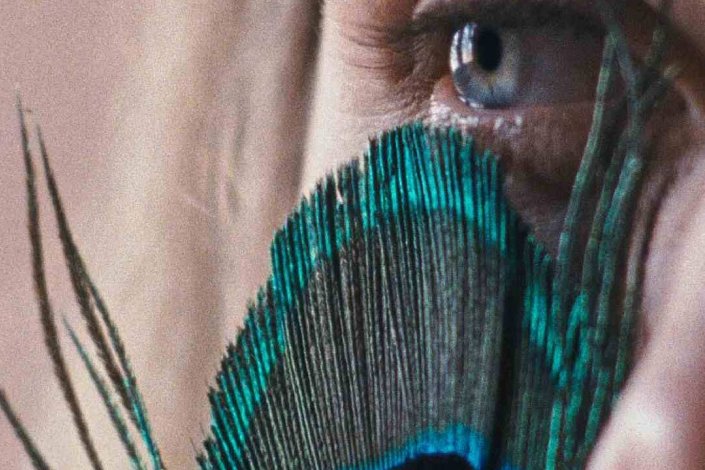 A Metamorfose dos Pássaros