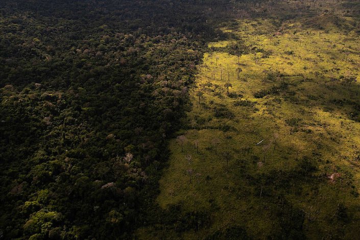 Desmatamento registado em Julho de 2020, dentro da Área de Protecção Ambiental (APA) Triunfo do Xingu, no estado do Pará 