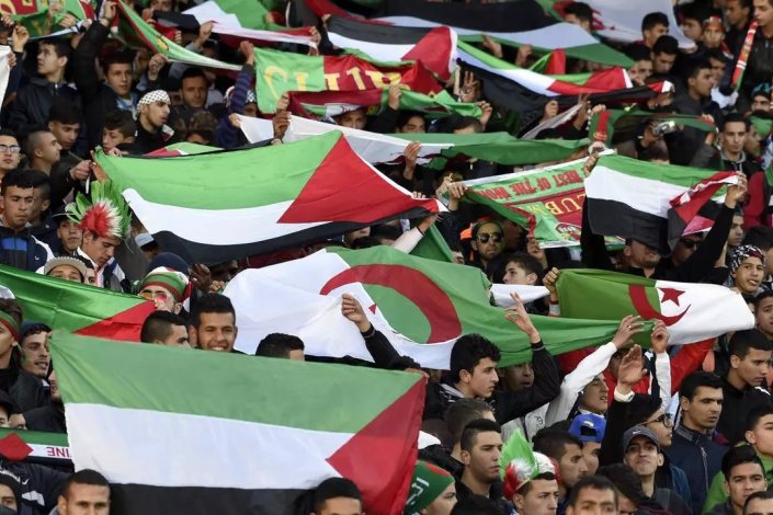 Apoiantes argelinos, num estádio de futebol, com bandeiras nacionais da Argélia e da Palestina 