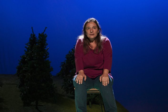 Encara hi ha algú al bosc [Ainda há alguém na floresta] 