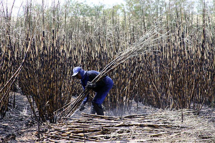 De acordo com a Subsecretaria de Inspeção do Trabalho, mais de 56 mil pessoas foram resgatadas de situações análogas à da escravidão no Brasil desde 1995 