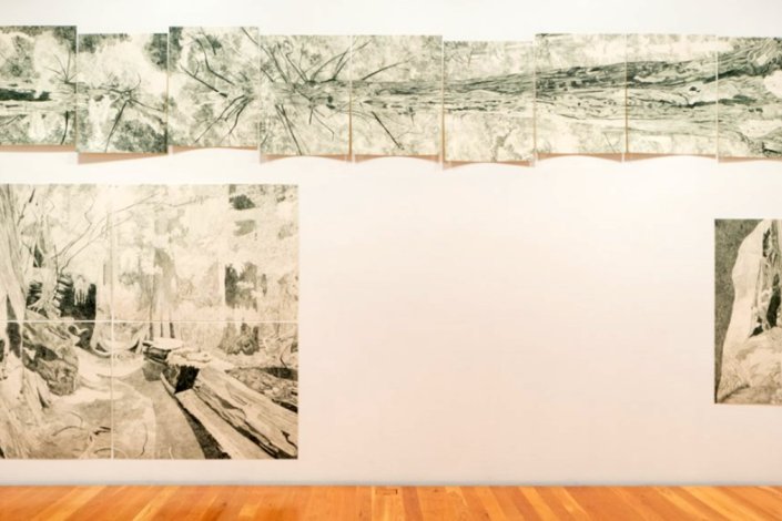 Exposição «A Natureza Detesta Linhas Retas», de Gabriela Albergaria, na Culturgest, em Lisboa, até 7 de março