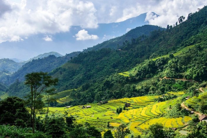 O Vietname tem apostado na reflorestação e na protecção das florestas, também como forma de desenvolvimento do país (distrito de Hoang Su Phi, província de Ha Giang)
