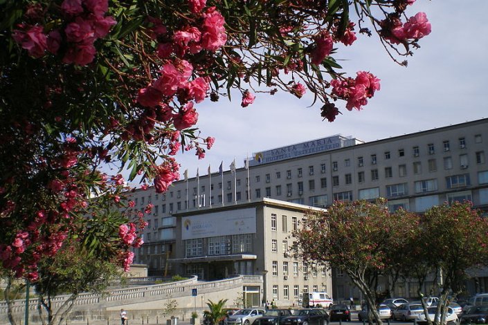 Por ano há 50 mil novos casos de pessoas com cancro