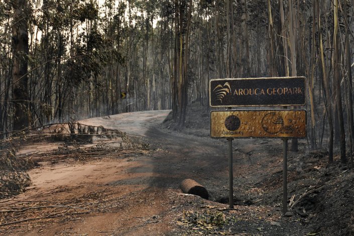 O incêndio de Arouca e Castelo de Paiva foi um dos muitos que assolou o país nos últimos dias