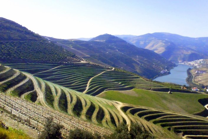 O vinho do Porto é produzido nas margens do rio Douro