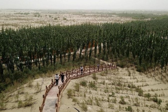 Plantação de árvores nas áreas desertas da Região Autónoma Uigure de Xinjiang, China. Este projecto converteu 66 mil hectares de deserto em bosques, em linha com o esforço nacional que, desde 1978, mais do que duplicou a área ocupada por florestas ou bosques no País, atingindo quase 25% da área total 