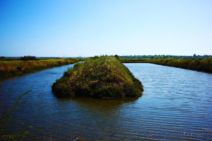 A Reserva Natural do Sapal de Castro Marim e Vila Real de Santo António (RNSCMVRSA), é uma zona húmida de importância internacional, tendo sido a primeira reserva natural a ser criada em Portugal em 27 de Março de 1975