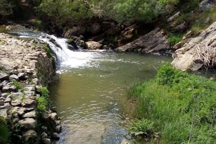 Troço do rio Sizandro, no concelho de Torres Vedras
