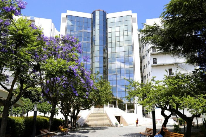 Faculdade de Ciências Sociais e Humanas da Universidade Nova de Lisboa