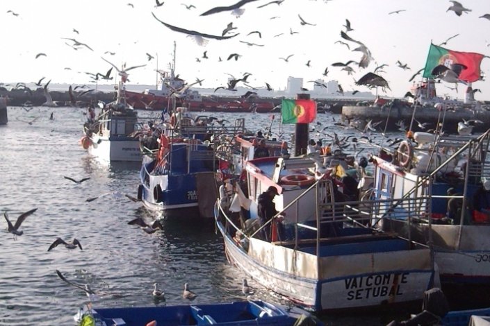 Doca dos pescadores de Setúbal