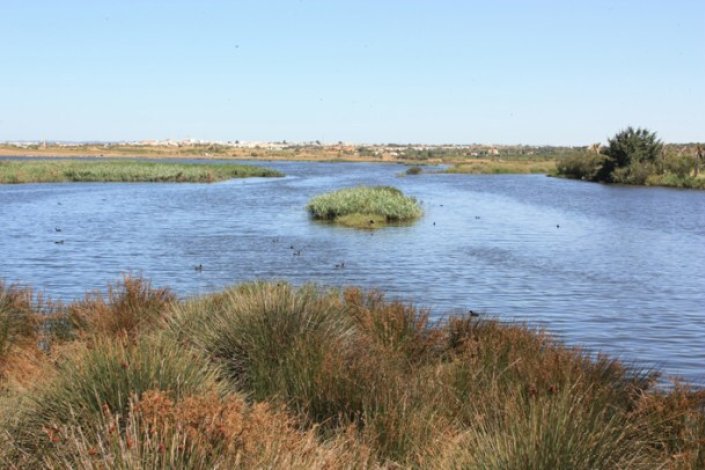A Lagoa dos Salgados, em Silves, no Algarve, é uma das mais diversificadas da região no que diz respeito à avifauna