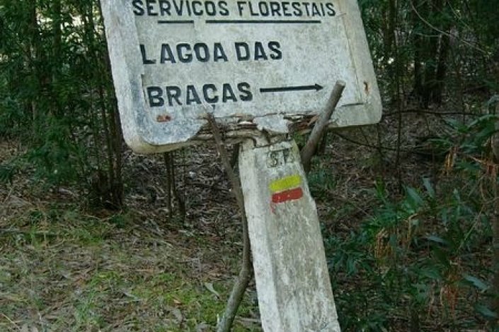 Os guardas florestais farão greve e uma manifestação em Lisboa, no dia 8 de Setembro