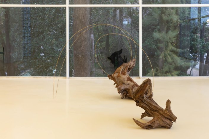 Obra de Joana Escoval «Rain falls, winds blow, plants bloom, leaves mature and are blown away», 2021. Exposição coletiva «Strange Attractor» no Pavilhão Branco - Galerias Municipais de Lisboa, até 6 de março