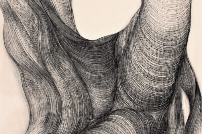 Exposição «Do Jardim Tropical ao Carvão Vegetal II», de Christine Enrègle, na Sociedade Nacional de Belas Artes, Lisboa, até 16 de junho