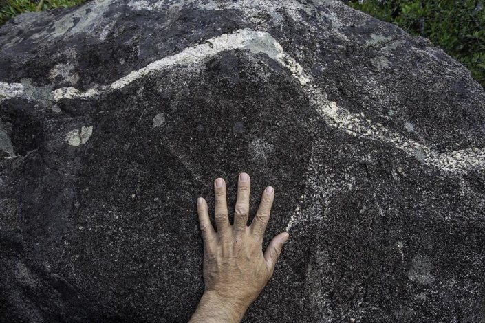 Fotografia de JoséManuel Rodrigues para a exposição «Natureza Morta»
