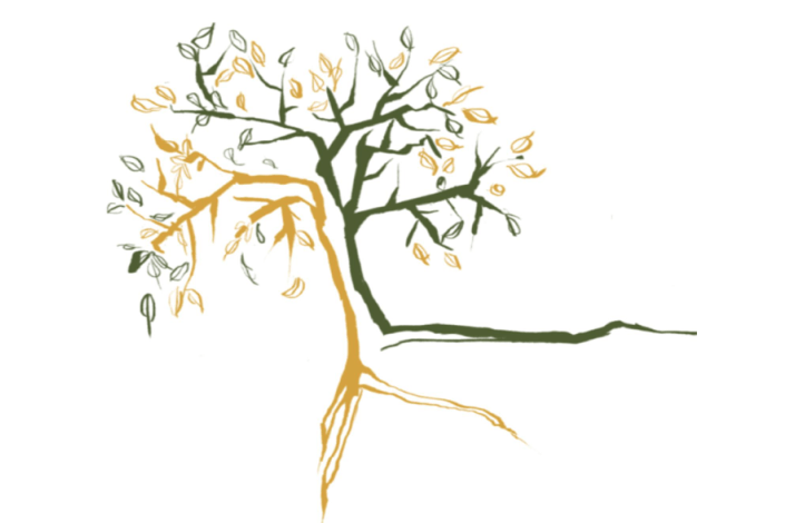 Logotipo do novo projecto Terra da Fraternidade 