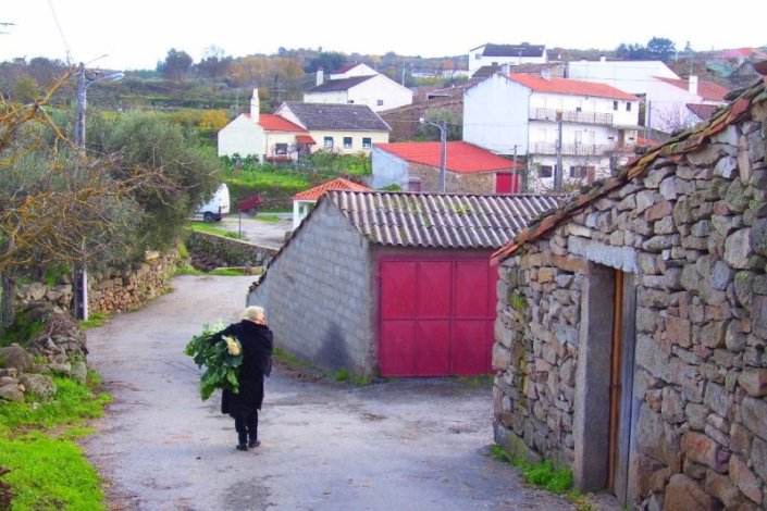 A desertificação do Interior é um problema com que o país se depara