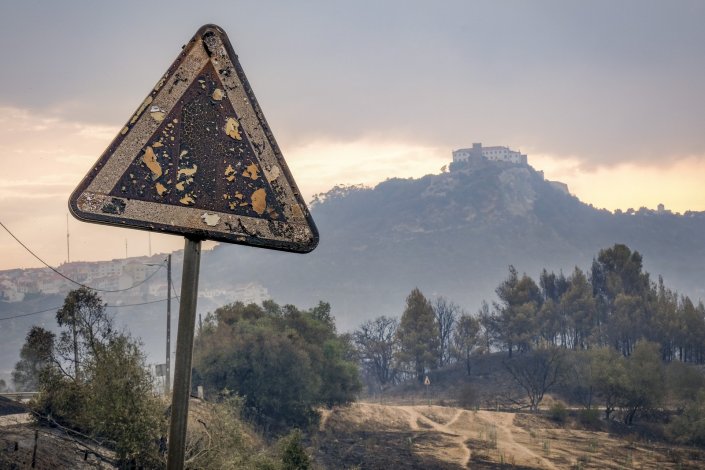 Rescaldo do incêndio no concelho de Palmela, com uma área ardida de 415 hectares. 13 de Julho de 2022 