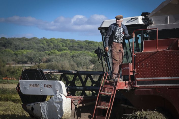 Agricultor em Torrão, Alcácer do Sal