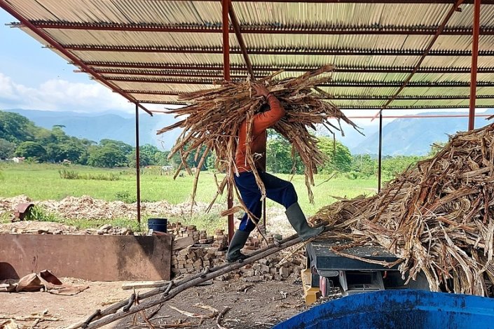 Cana-de-açúcar é o motor da economia local