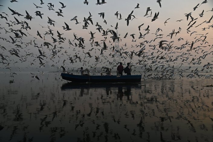 «Gaivotas em volta do Rio Yamuna», de Kabir Jhangiani