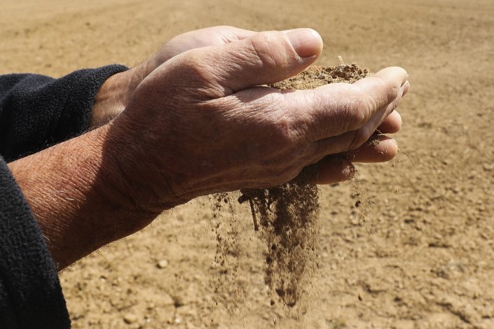 Seca no Alentejo. Santiago do Cacém, 5 de Abril de 2019.