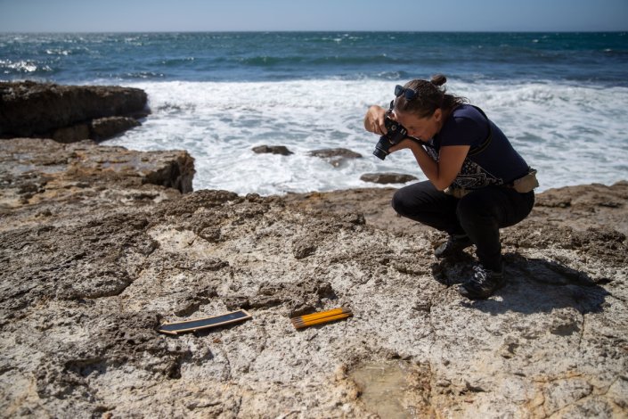 Investigadores orientados pelo paleontólogo Silvério Figueiredo, que se encontram a desenvolver trabalho de campo na zona do Cabo Espichel, em Sesimbra, acreditam que é possível encontrar ovos de dinossauro naquele local, à semelhança do que aconteceu na Lourinhã. Sesimbra, 8 de Julho de 2021